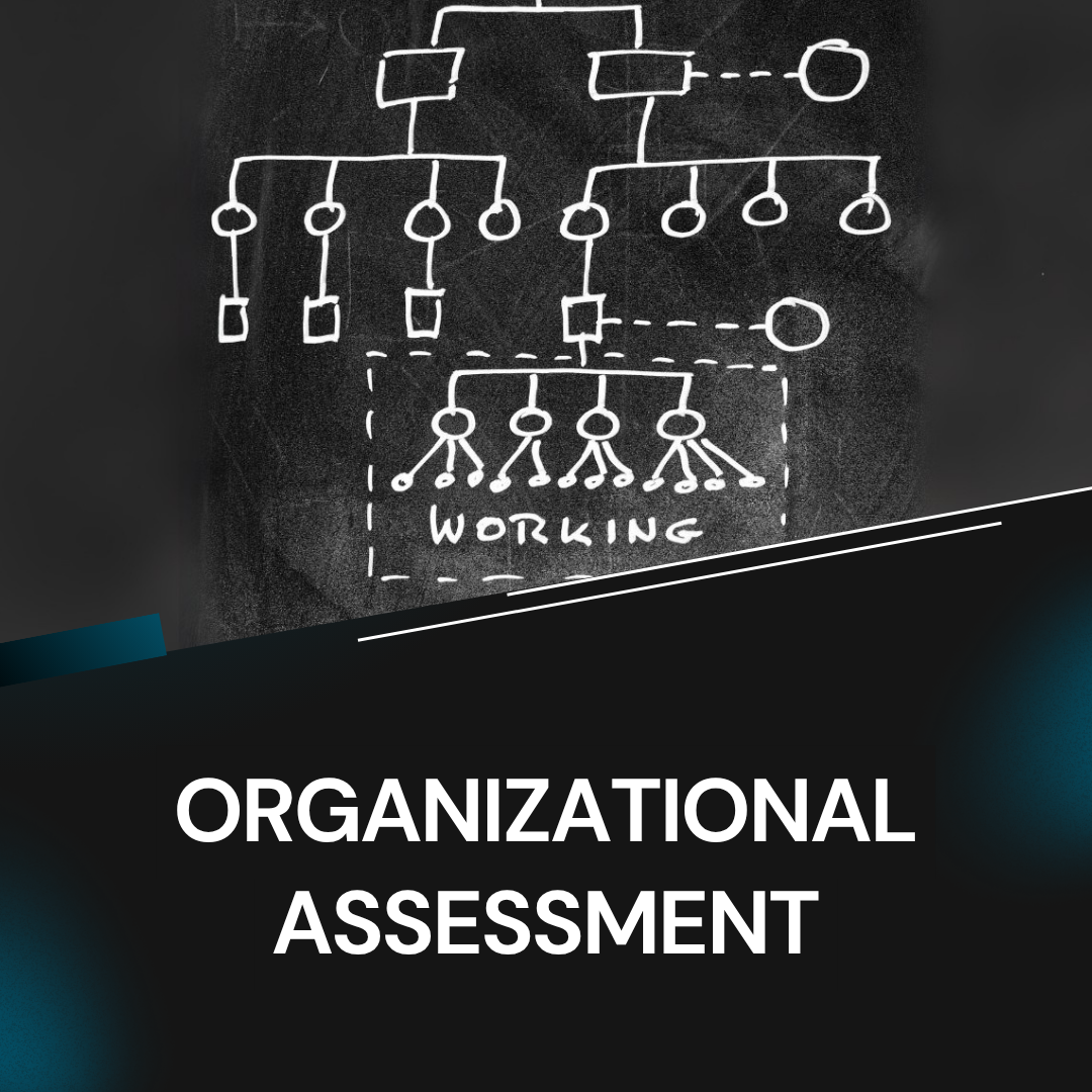 Organizational Assessment