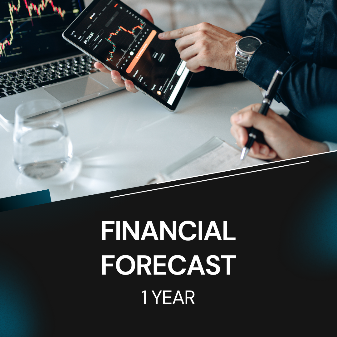Financial Forecast (1 Year)