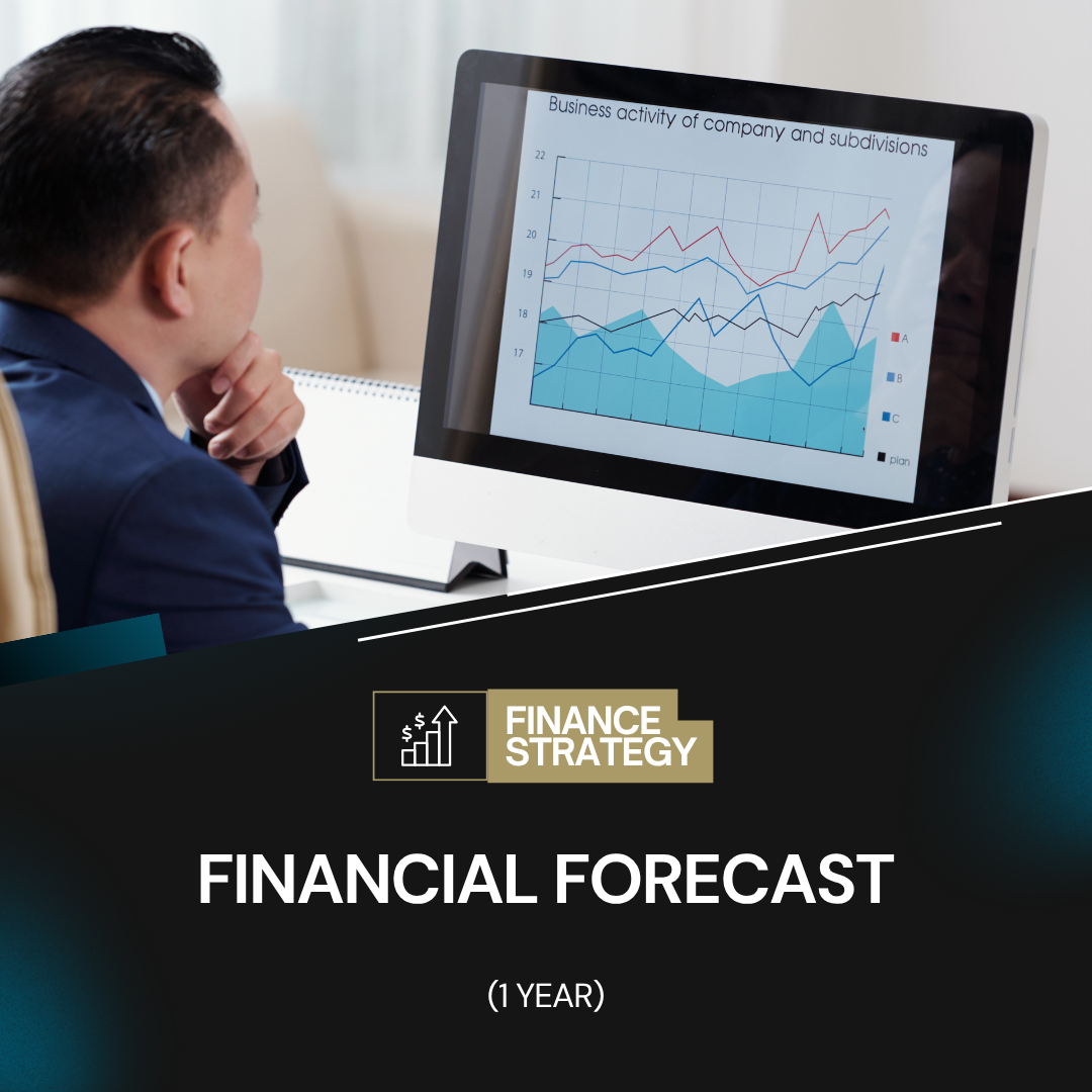 Financial Forecast (1 Year)
