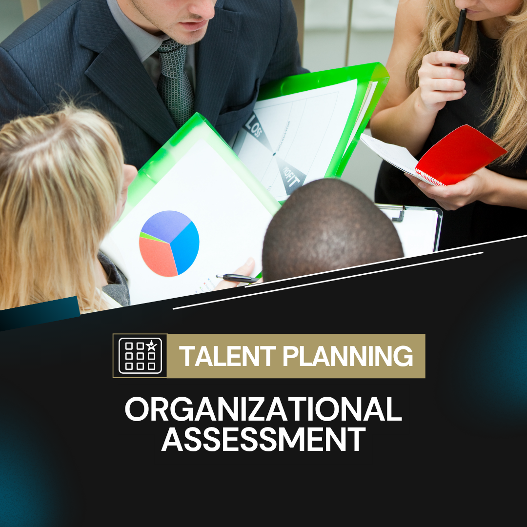 Organizational Assessment