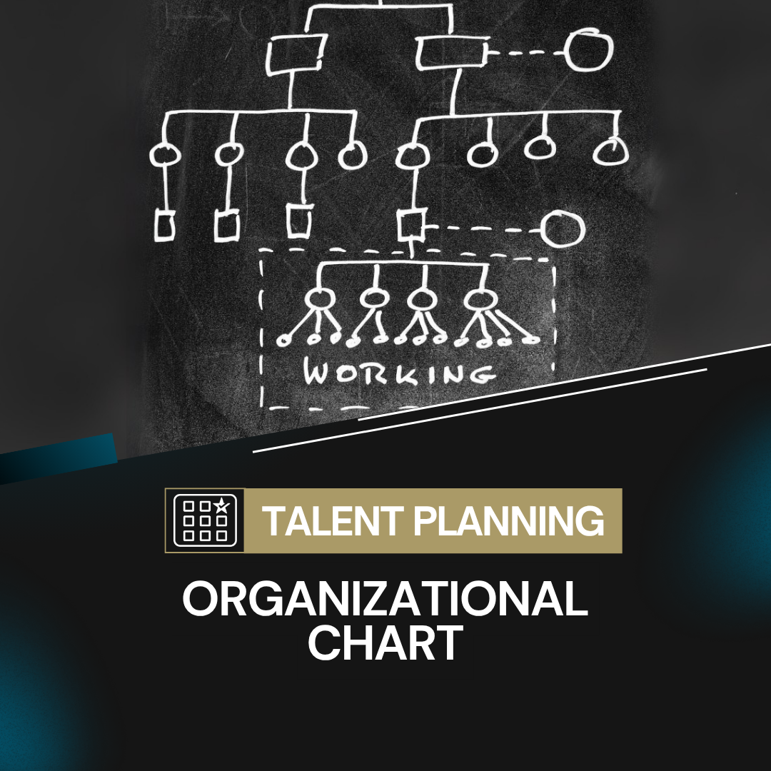 Organizational Chart – You Are A CEO Business Services